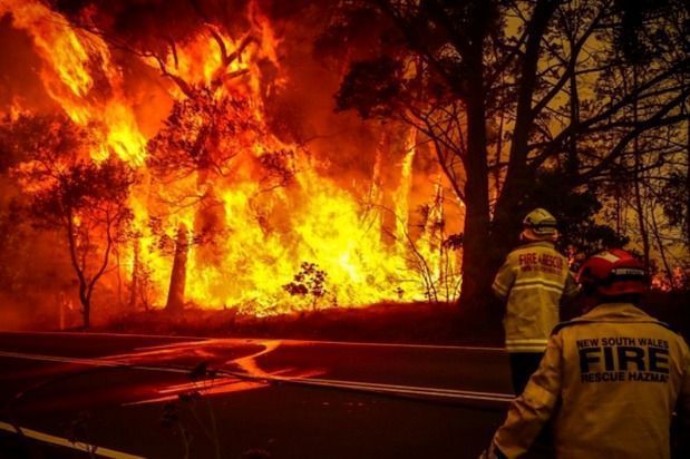 AUSTRALIA : FIRES ARE DEVASTATING EVERYTHING !!